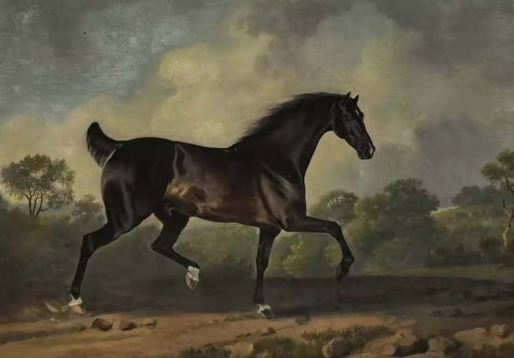 The Antique Equine Series ~ Print on Canvas