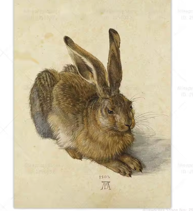 The Bunny Series ~ Print on Canvas