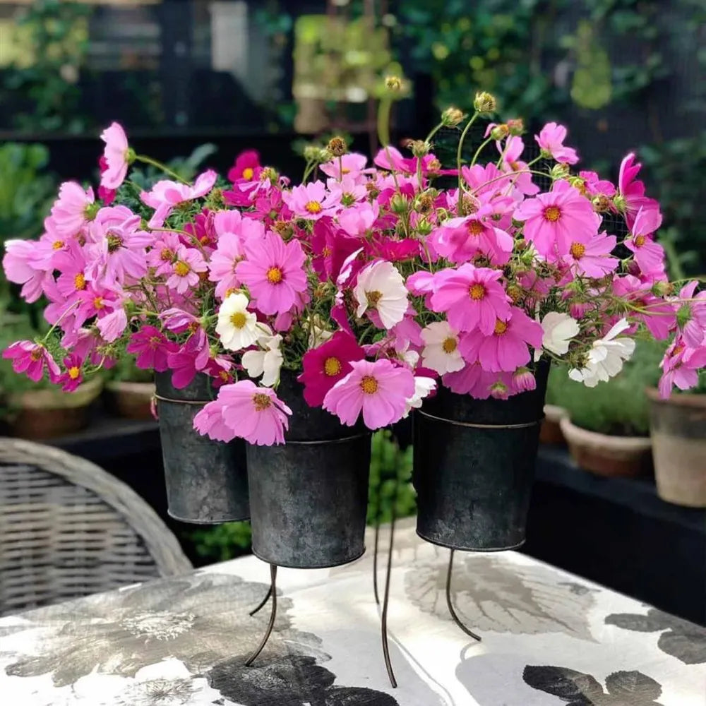 French Tin Centrepiece