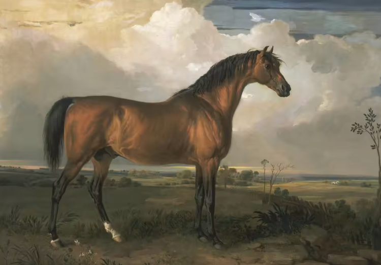 The Antique Equine Series ~ Print on Canvas