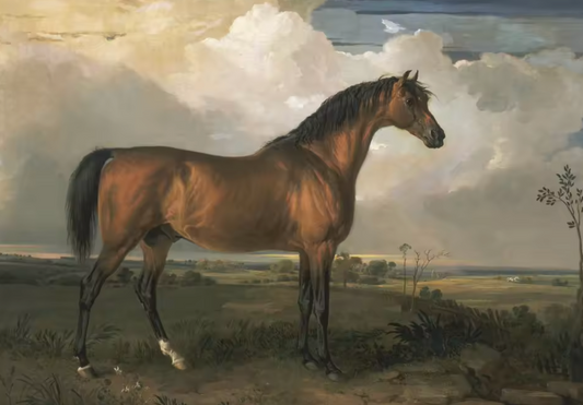 The Antique Equine Series ~ Print on Canvas