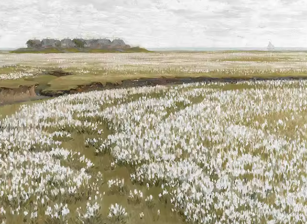 The Pastoral Landscape Series ~ Print on Canvas