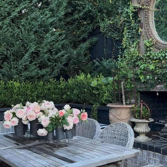 French Tin Centrepiece