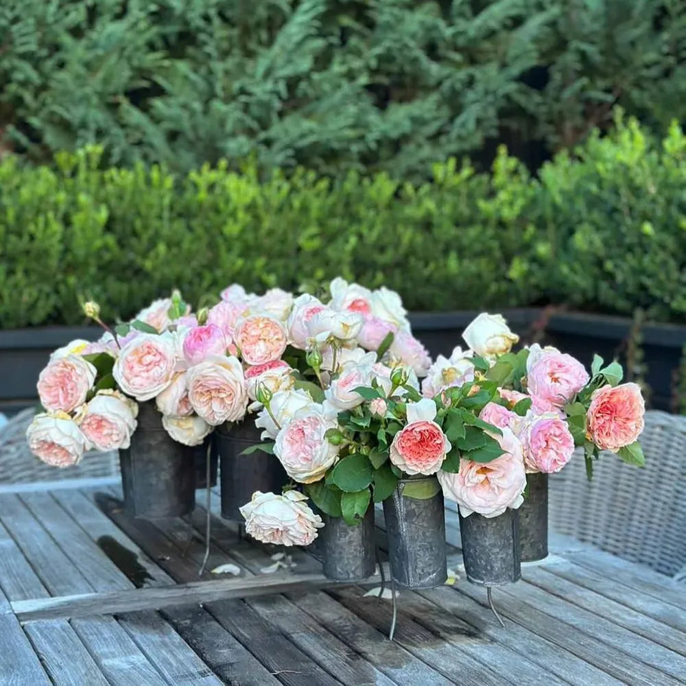 French Tin Centrepiece